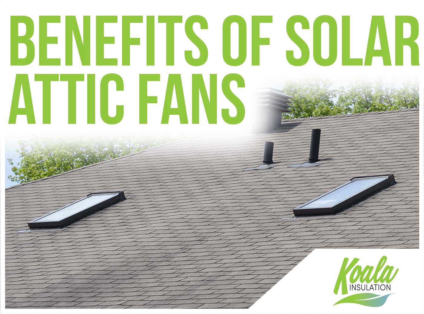 Top 5 Solar Attic Fan Benefits from Your Local Greenville Experts