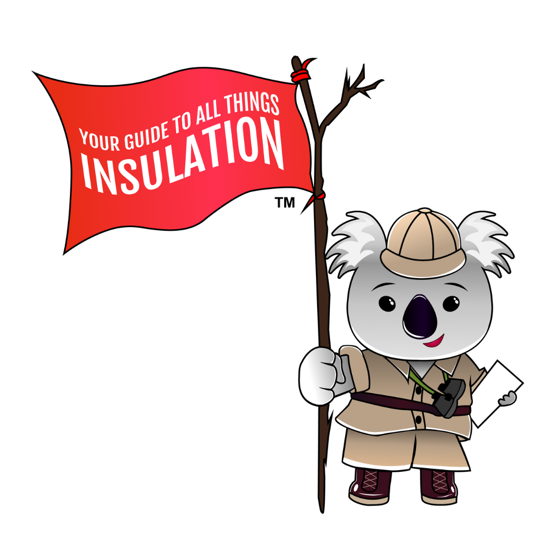 Meet Obie: The Face of Koala Insulation’s Adventures in Chattanooga