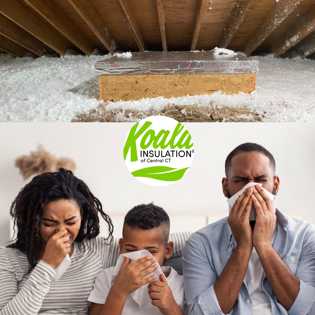 Is My Attic Insulation Making Me Sick?