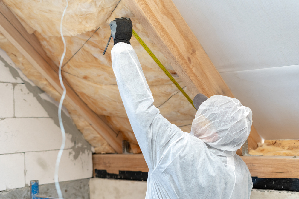 THE PROFESSIONALS vs. DIY Which is a Better Choice for Your Home?
