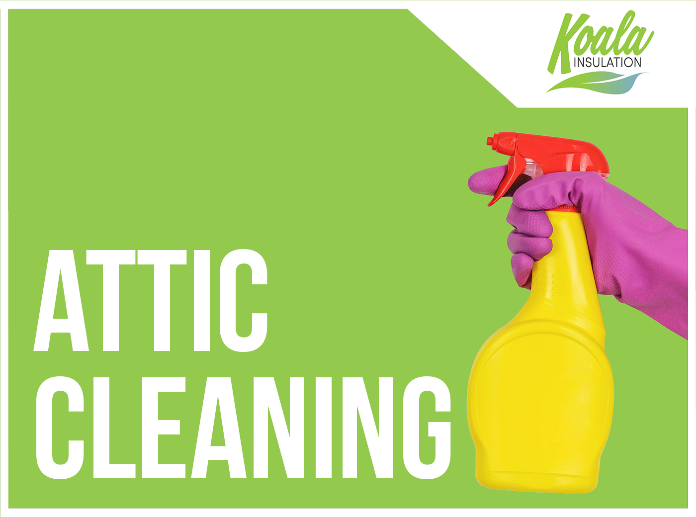 The Importance of Attic Disinfectant and Deodorizer for Carolina Homes