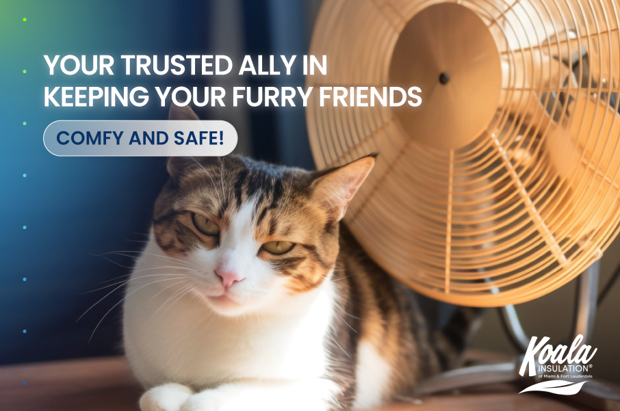 Your Trusted Ally in Keeping Your Furry Friends comfy and Safe!