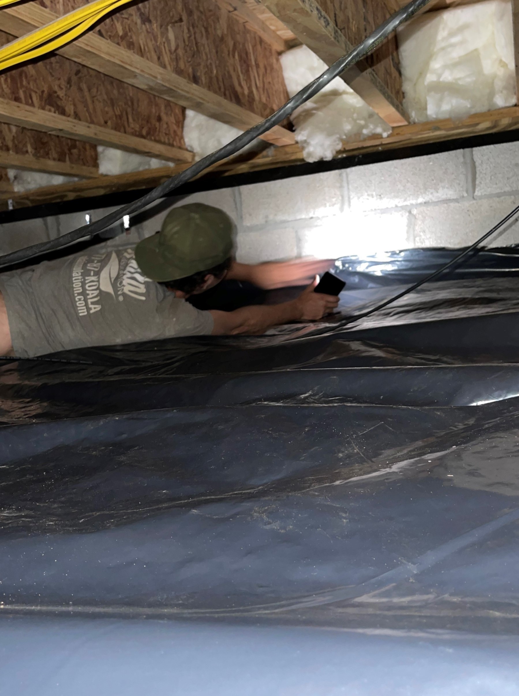 Best Ways to Prevent Mold in Your Crawl Space