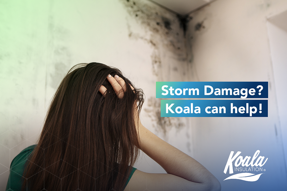 Storm Damage? Koala Insulation of South Miami can help!
