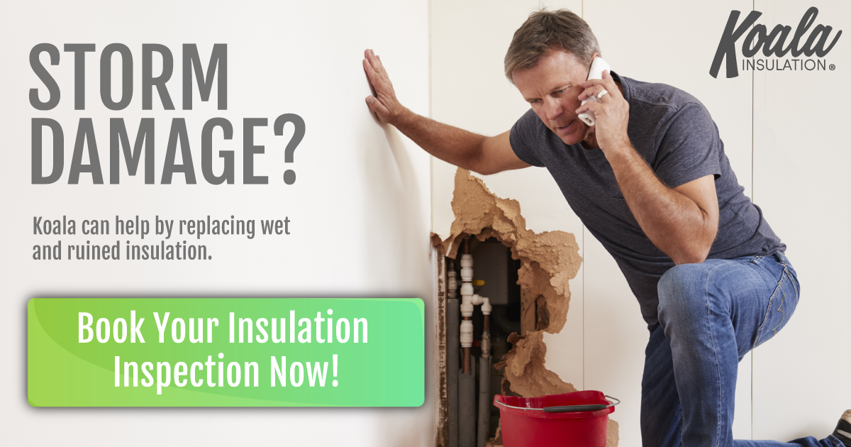 Leading Risks of Moisture in the Attic | Tallahassee |Florida