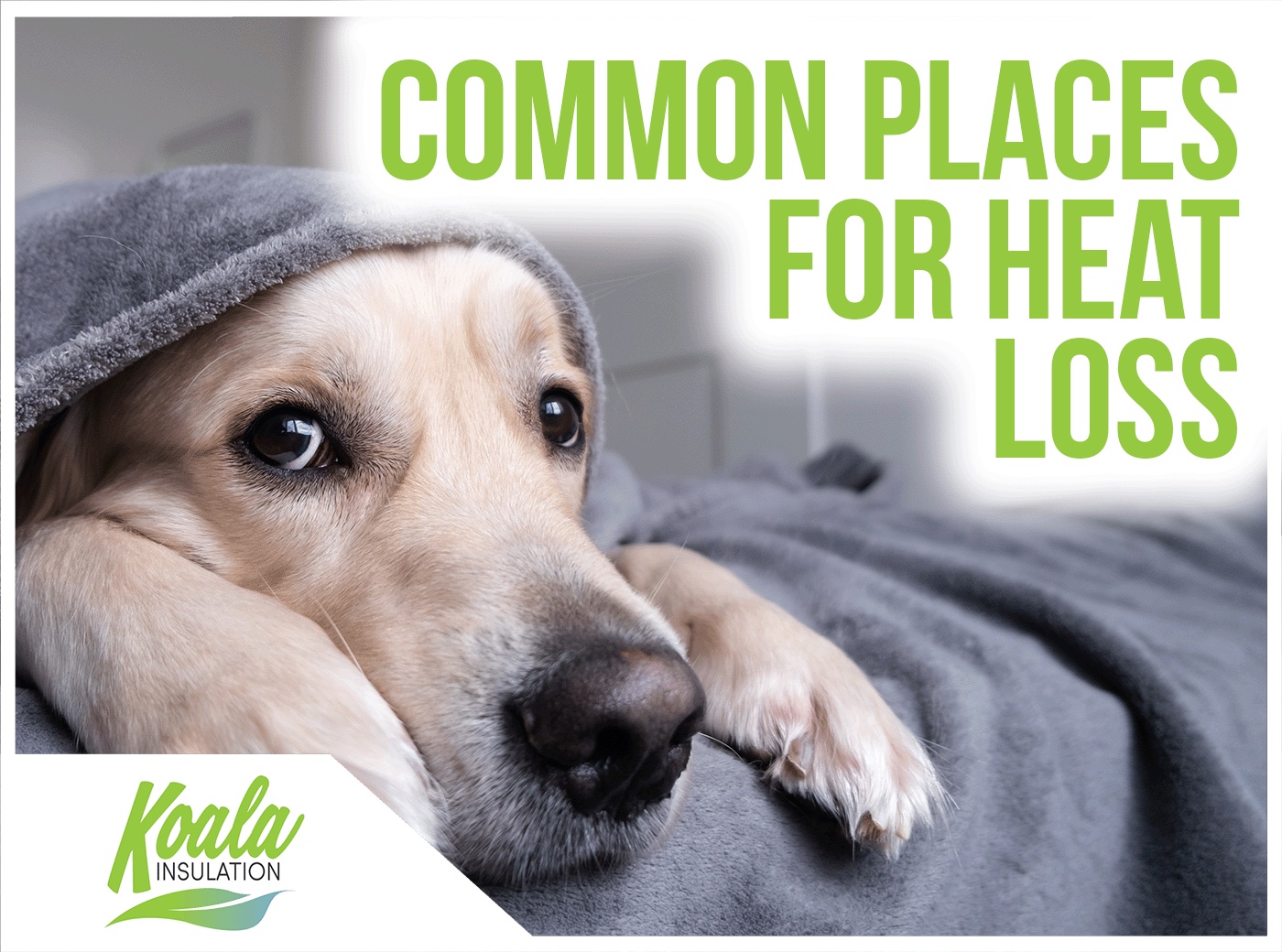 What Are The Most Common Places Your Home Can Lose Heat
