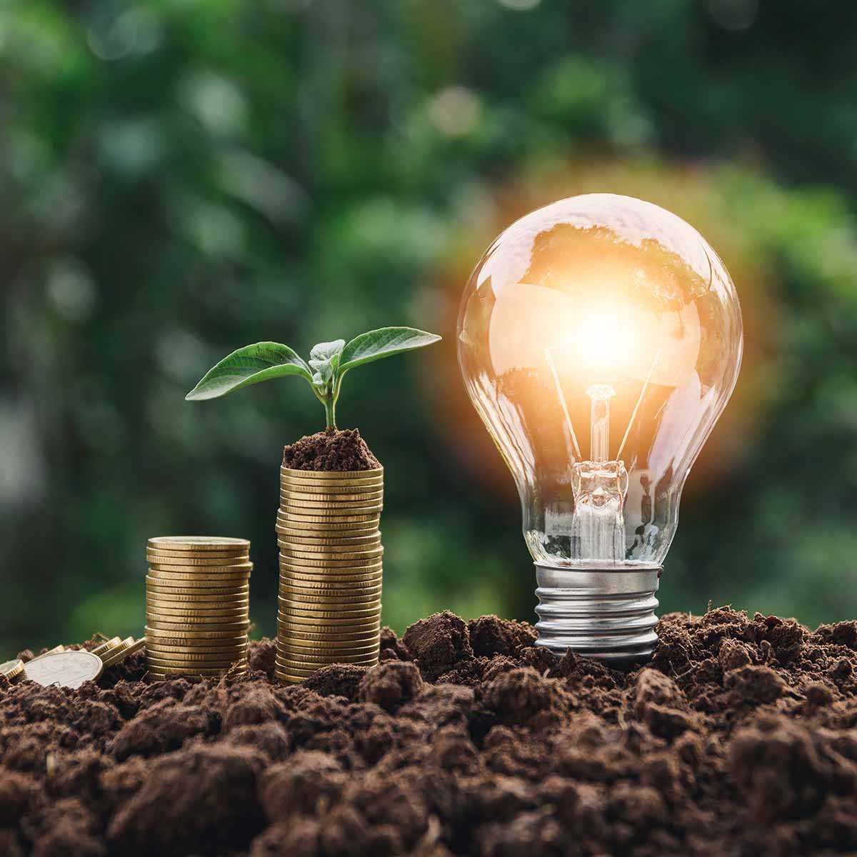 4 Ways to Save On Your Energy Bills and Reduce Energy Waste