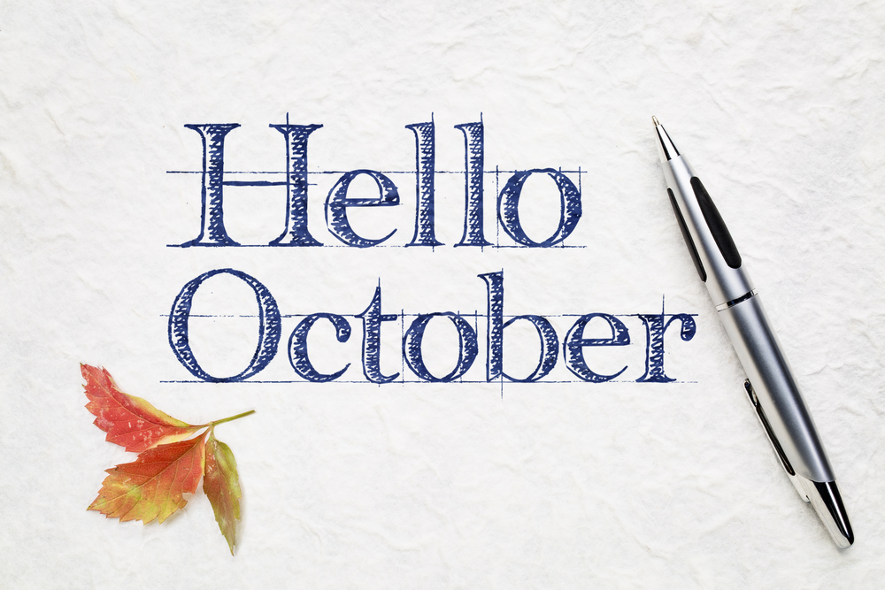 October Insulation: Smart Comfort for West Florida Homes