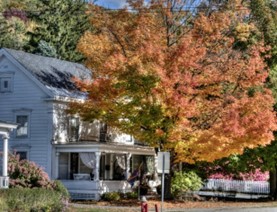 Preparing your Home’s Insulation for Fall