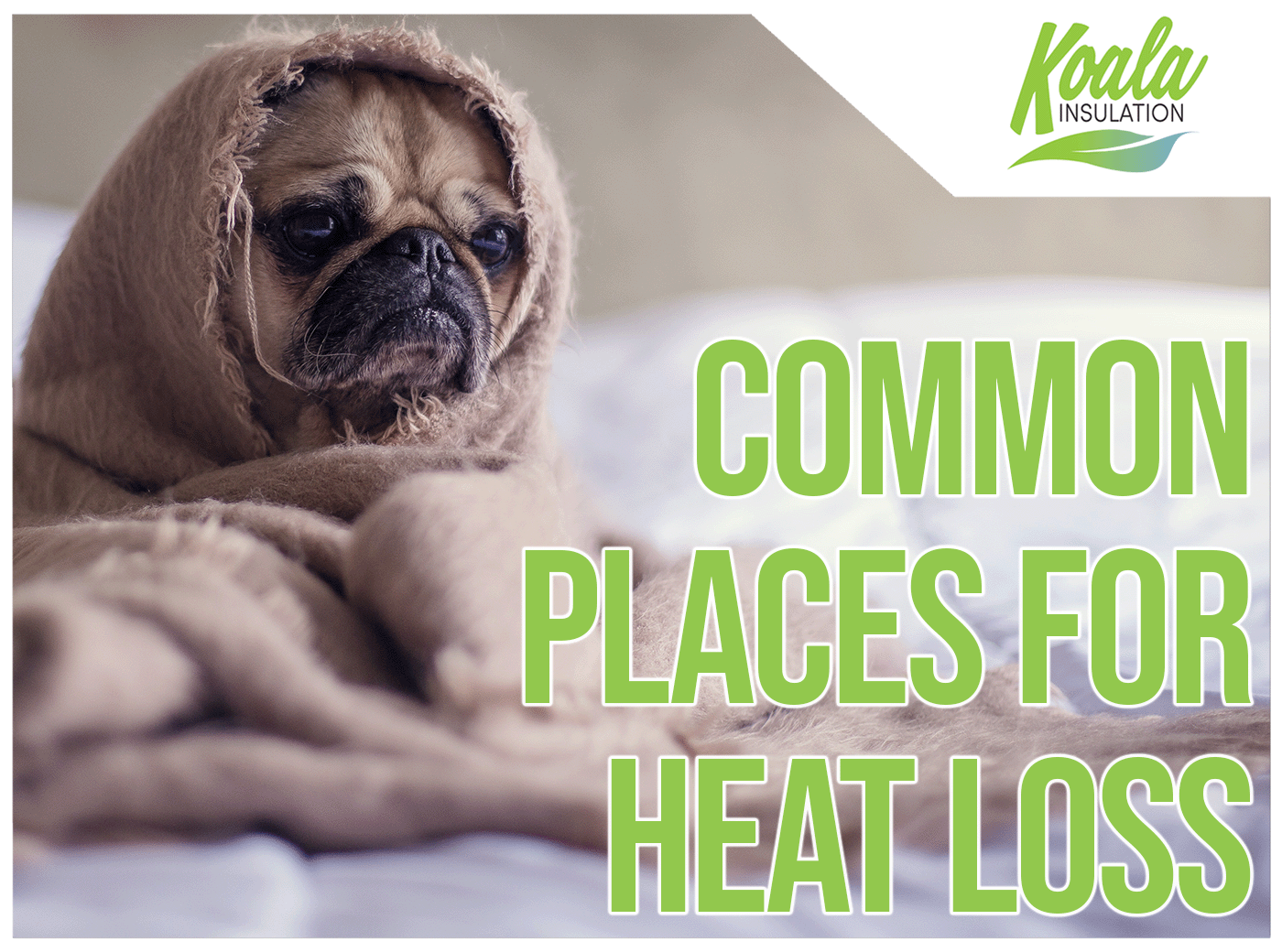 5 Areas You’re Losing Heat In South Carolina
