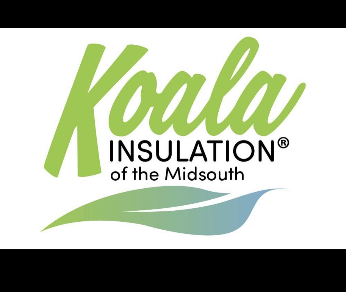 Dealing With Rodents and Mice in Attics in Memphis, TN