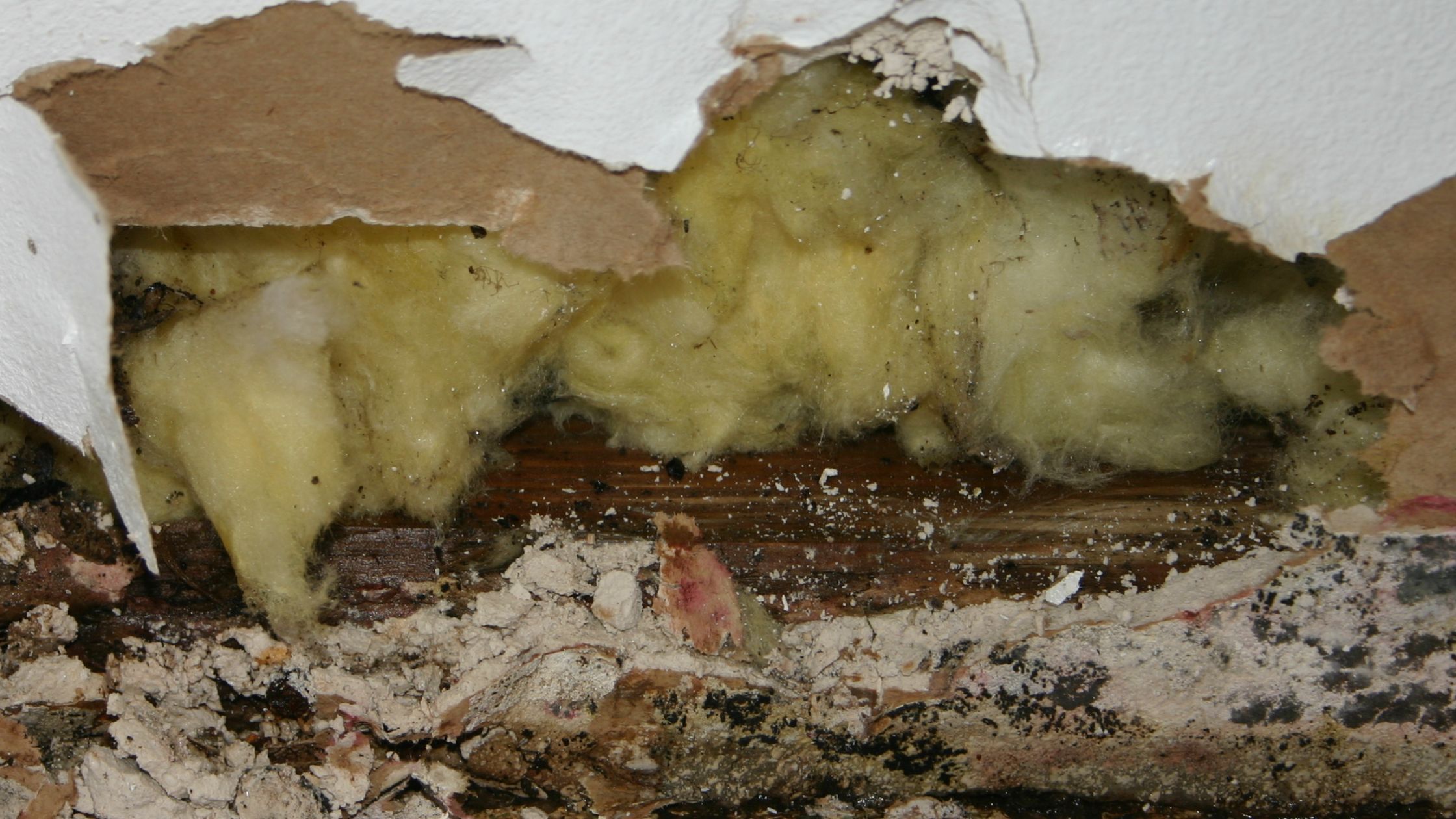 Negative Effects of Old and Damaged Insulation in Austin