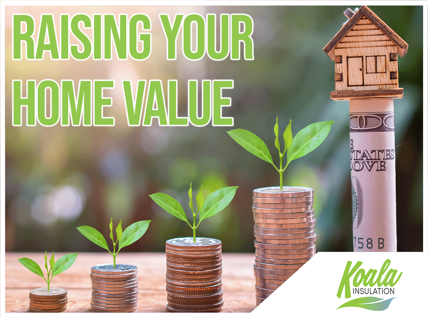 Can Insulation Improve Greenville Area Home Value in South Carolina