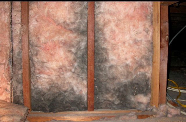 How Hurricanes Impact Your Insulation and What You Can Do About It