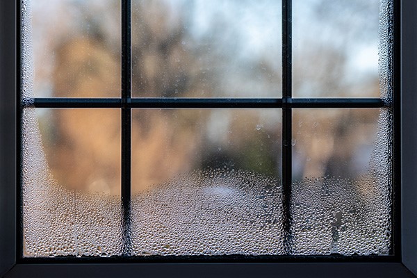 The Dangers of Moisture and Humidity in Your Home