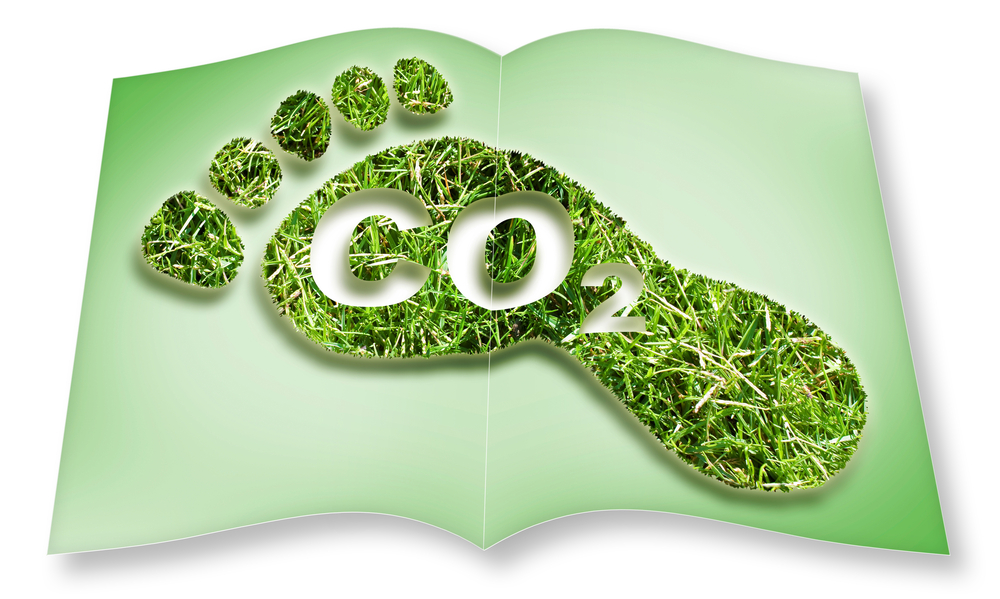How Insulation Helps Reduce Your Carbon Footprint and Save Energy