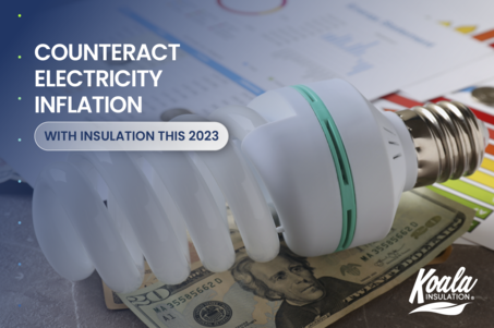 Offset Rising Energy Prices with Home Insulation