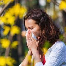 Help Prevent Seasonal Allergies with Insulation