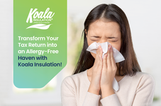Transform Your Tax Return into an Allergy-Free Haven
