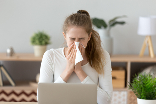 What is the Best Insulation for Allergy Season?