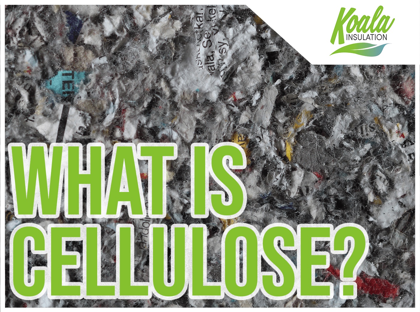 What Is Cellulose? Understanding Your Texas Insulation Choices