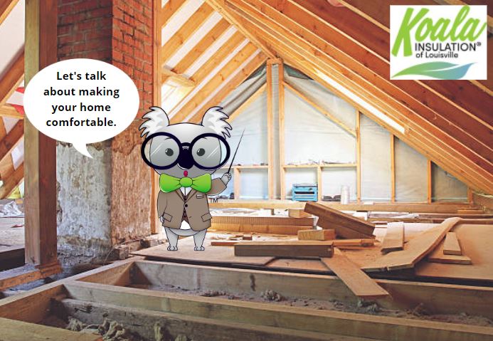 Do I Need More Attic Insulation | Koala Insulation of Louisville