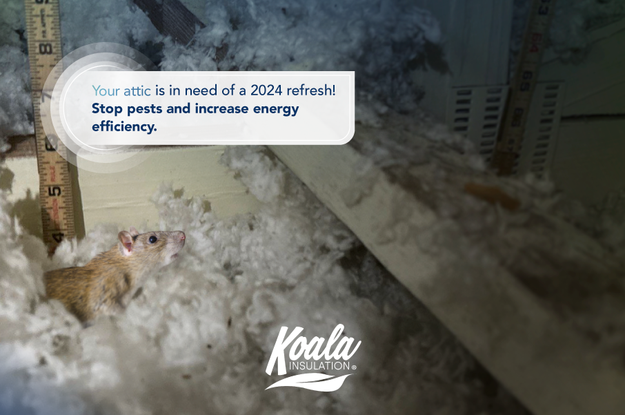 Starting the New Year Right: Energy Efficiency and Pest Prevention